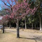 ちあき なんか寒い 完熟ばなな梅田