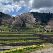 ヒメ日記 2026/03/26 11:34 投稿 ちあき 完熟ばなな梅田