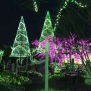 中野八千代 9日、日曜日のお礼です 五十路マダムエクスプレス船橋店(カサブランカグループ)