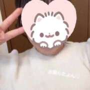 ヒメ日記 2025/03/20 12:52 投稿 さら 晴れんち