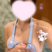 ヒメ日記 2025/05/31 15:04 投稿 さら 晴れんち