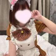 ヒメ日記 2025/07/17 21:22 投稿 さら 晴れんち