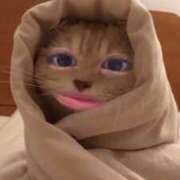 ヒメ日記 2026/02/12 23:00 投稿 さら 晴れんち