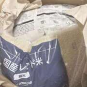 ヒメ日記 2026/02/26 16:30 投稿 さら 晴れんち