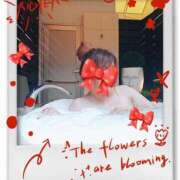 ヒメ日記 2025/02/22 09:37 投稿 野上せいら 西川口風俗ド淫乱ンド