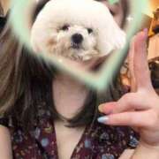 ヒメ日記 2025/09/01 23:17 投稿 野上せいら 西川口風俗ド淫乱ンド