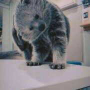 ヒメ日記 2025/11/18 18:27 投稿 野上せいら 西川口風俗ド淫乱ンド