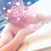ヒメ日記 2026/09/08 13:25 投稿 野上せいら 西川口風俗ド淫乱ンド