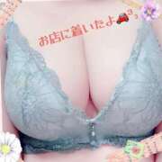 ヒメ日記 2025/02/24 10:05 投稿 ともみ 小田原人妻城