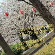 ヒメ日記 2025/03/30 17:33 投稿 ともみ 小田原人妻城