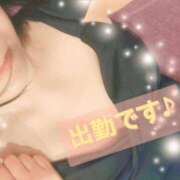 ヒメ日記 2025/12/01 10:43 投稿 いよ 一力茶屋