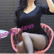 サラ ペット Spanky（スパンキー）