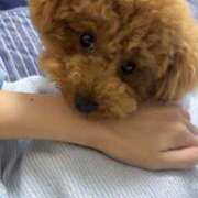 ヒメ日記 2026/01/13 08:16 投稿 るな sweet kiss