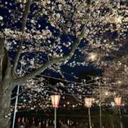 ヒメ日記 2025/04/09 08:40 投稿 市川ちなつ 五十路マダム 新潟店(カサブランカグループ)