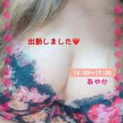 ヒメ日記 2025/04/09 14:03 投稿 あやか ぽっちゃり巨乳素人専門横浜関内伊勢佐木町ちゃんこ