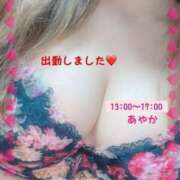 ヒメ日記 2025/04/14 12:23 投稿 あやか ぽっちゃり巨乳素人専門横浜関内伊勢佐木町ちゃんこ