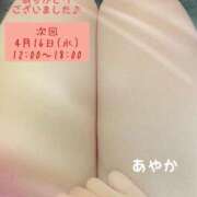 ヒメ日記 2025/04/14 17:46 投稿 あやか ぽっちゃり巨乳素人専門横浜関内伊勢佐木町ちゃんこ