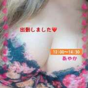 ヒメ日記 2025/05/02 11:56 投稿 あやか ぽっちゃり巨乳素人専門横浜関内伊勢佐木町ちゃんこ