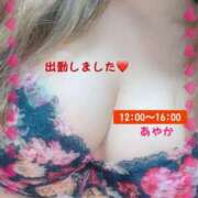 ヒメ日記 2025/05/12 12:06 投稿 あやか ぽっちゃり巨乳素人専門横浜関内伊勢佐木町ちゃんこ