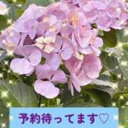 ヒメ日記 2025/07/18 15:06 投稿 あやか ぽっちゃり巨乳素人専門横浜関内伊勢佐木町ちゃんこ