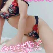 ヒメ日記 2024/12/12 17:04 投稿 ことね マダムの品格