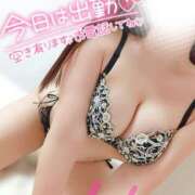 ヒメ日記 2024/12/12 22:13 投稿 ことね マダムの品格