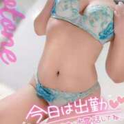 ヒメ日記 2024/12/14 19:18 投稿 ことね マダムの品格