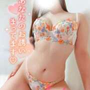 ヒメ日記 2024/12/18 00:52 投稿 ことね マダムの品格