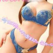 ヒメ日記 2024/12/20 08:23 投稿 ことね マダムの品格