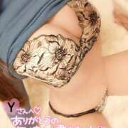 ヒメ日記 2024/12/21 11:15 投稿 ことね マダムの品格