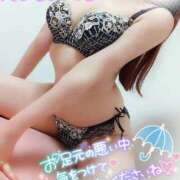 ヒメ日記 2025/01/06 21:20 投稿 ことね マダムの品格