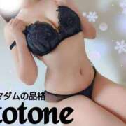 ヒメ日記 2025/01/09 17:04 投稿 ことね マダムの品格