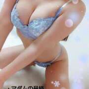 ヒメ日記 2025/01/11 01:00 投稿 ことね マダムの品格