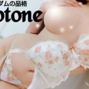 ヒメ日記 2025/01/12 21:04 投稿 ことね マダムの品格