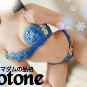 ヒメ日記 2025/01/14 05:03 投稿 ことね マダムの品格