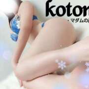 ヒメ日記 2025/01/14 19:22 投稿 ことね マダムの品格