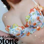 ヒメ日記 2025/01/21 17:04 投稿 ことね マダムの品格