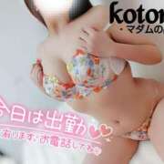 ヒメ日記 2025/01/21 19:02 投稿 ことね マダムの品格