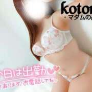 ヒメ日記 2025/01/24 17:05 投稿 ことね マダムの品格