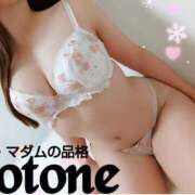 ヒメ日記 2025/01/25 04:53 投稿 ことね マダムの品格