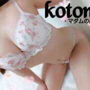 ヒメ日記 2025/01/25 17:05 投稿 ことね マダムの品格