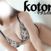 ヒメ日記 2025/01/31 23:11 投稿 ことね マダムの品格