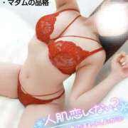 ヒメ日記 2025/02/02 00:48 投稿 ことね マダムの品格