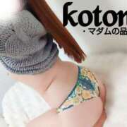 ヒメ日記 2025/02/03 00:20 投稿 ことね マダムの品格