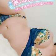 ヒメ日記 2025/02/04 00:29 投稿 ことね マダムの品格