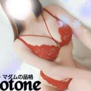 ヒメ日記 2025/02/12 17:01 投稿 ことね マダムの品格