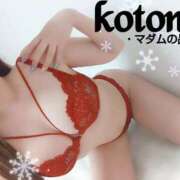 ヒメ日記 2025/02/12 19:12 投稿 ことね マダムの品格