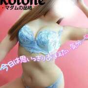 ヒメ日記 2025/02/15 17:01 投稿 ことね マダムの品格