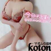 ヒメ日記 2025/02/17 11:00 投稿 ことね マダムの品格