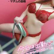 ヒメ日記 2025/02/20 17:01 投稿 ことね マダムの品格